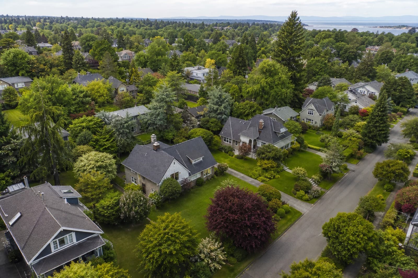 Artificial turf and synthetic grass installs across Greater Victoria BC
