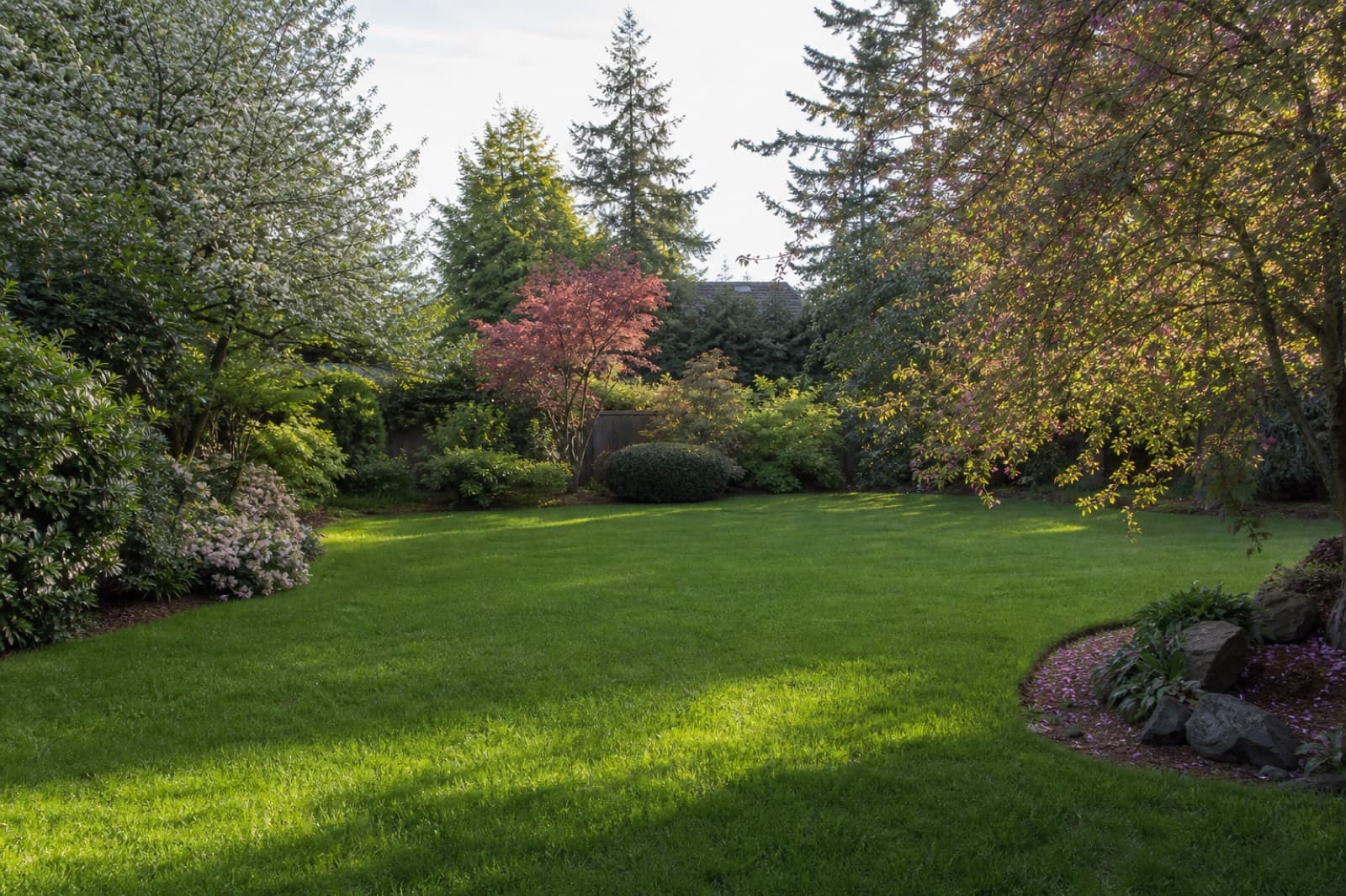 Finished artificial turf lawn on a residential property in Victoria British Columbia